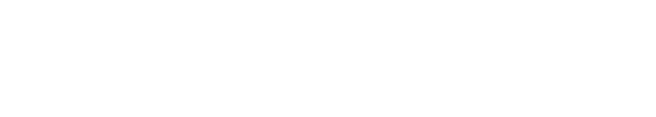 We provide straightforward yet                       effective solutions for your company, from huge corporations to local business security.